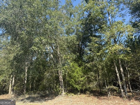 Land, Arlington, GA