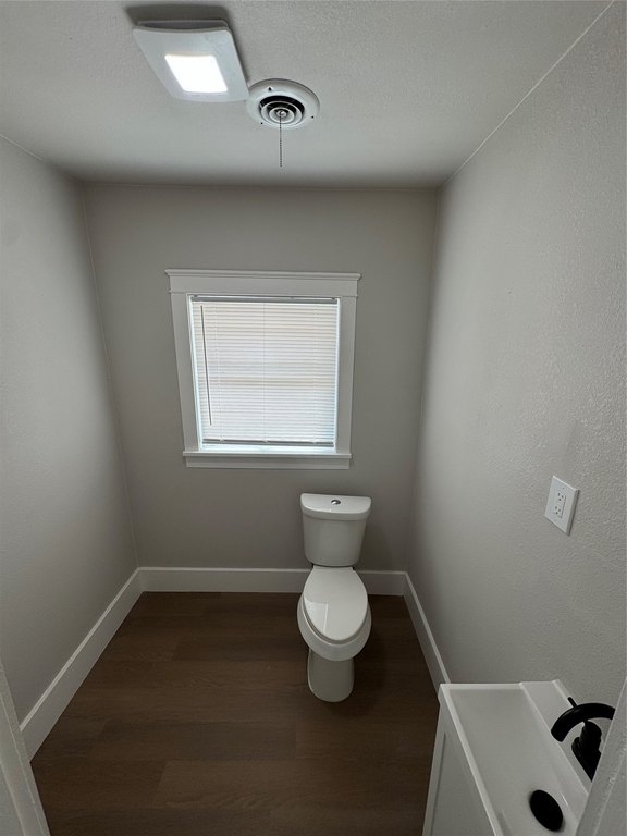 Picture 4