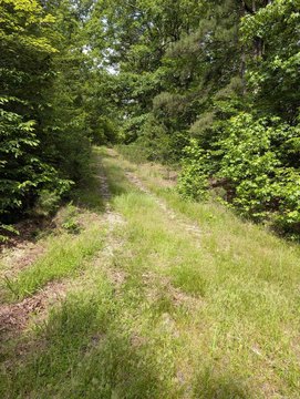 Secluded Lot in Hot Springs