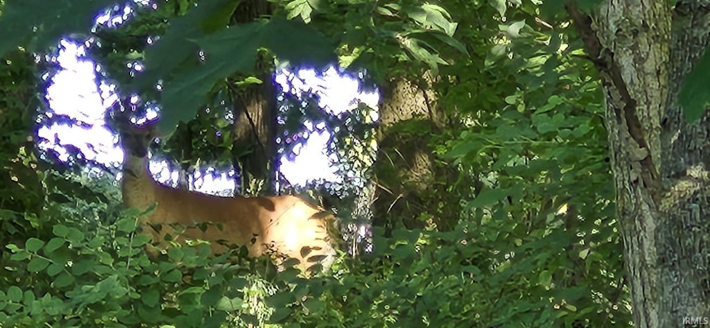 Picture 5