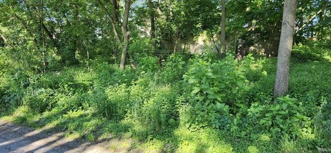 Residential Land in Elkhart, Indiana