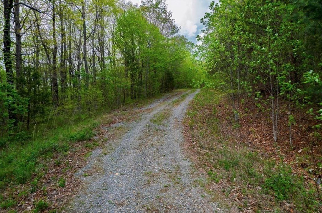 Picture 25