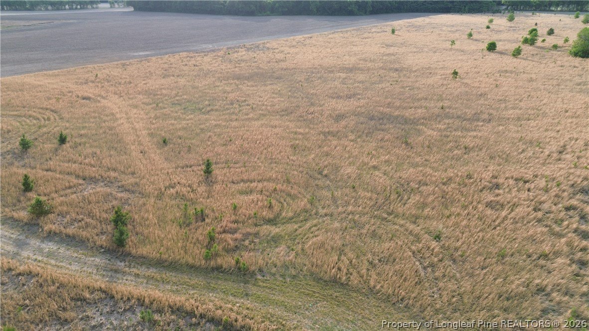 Residential Land in Rural Setting