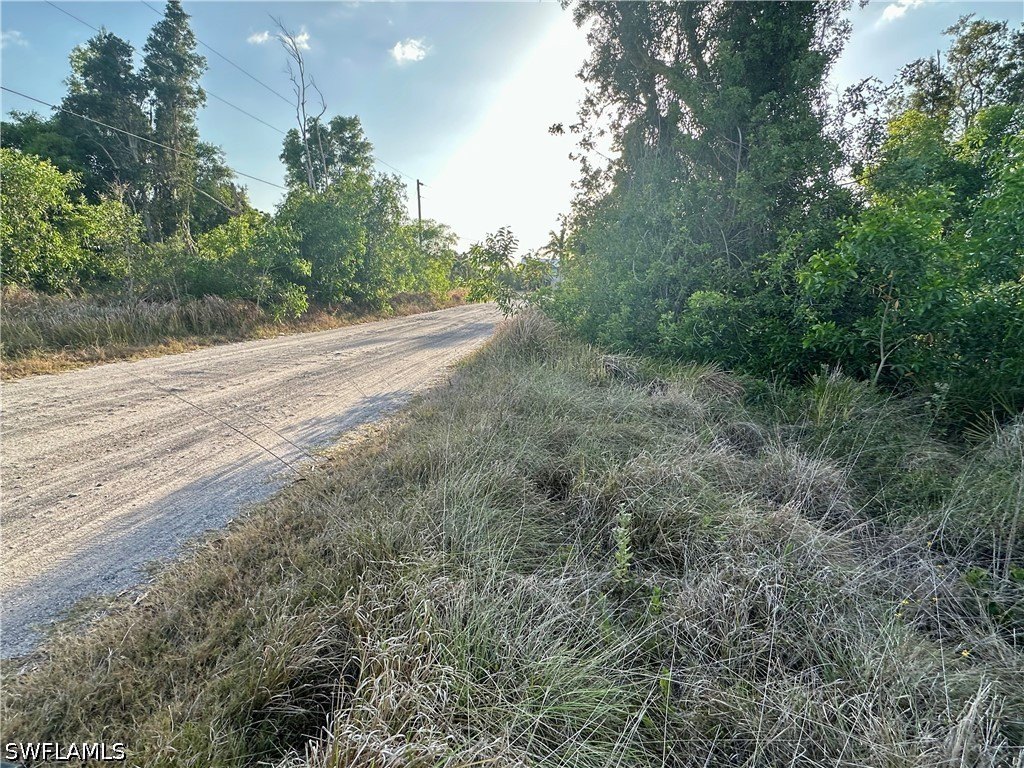 Picture 2