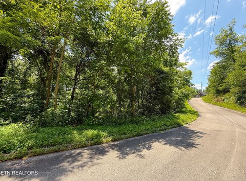 Lots & Acreage, Sevierville, TN