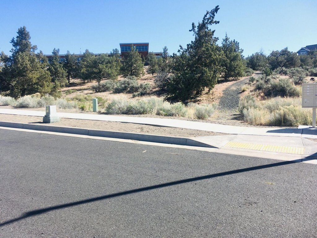 Picture 23