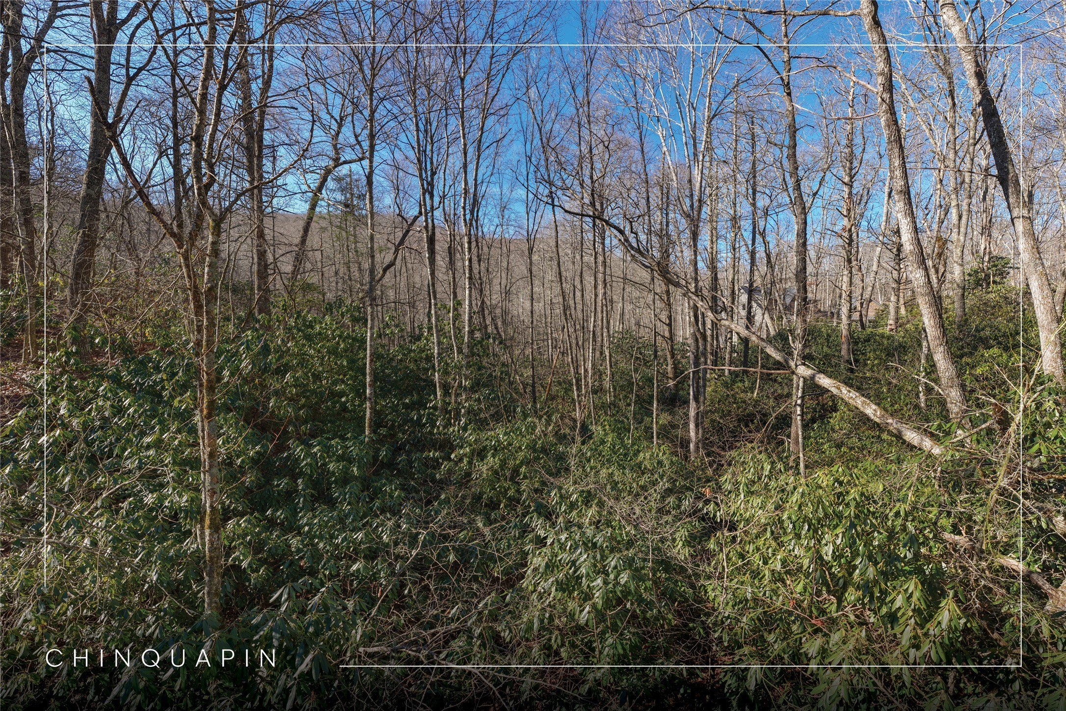 Land in Gated Chinquapin Community