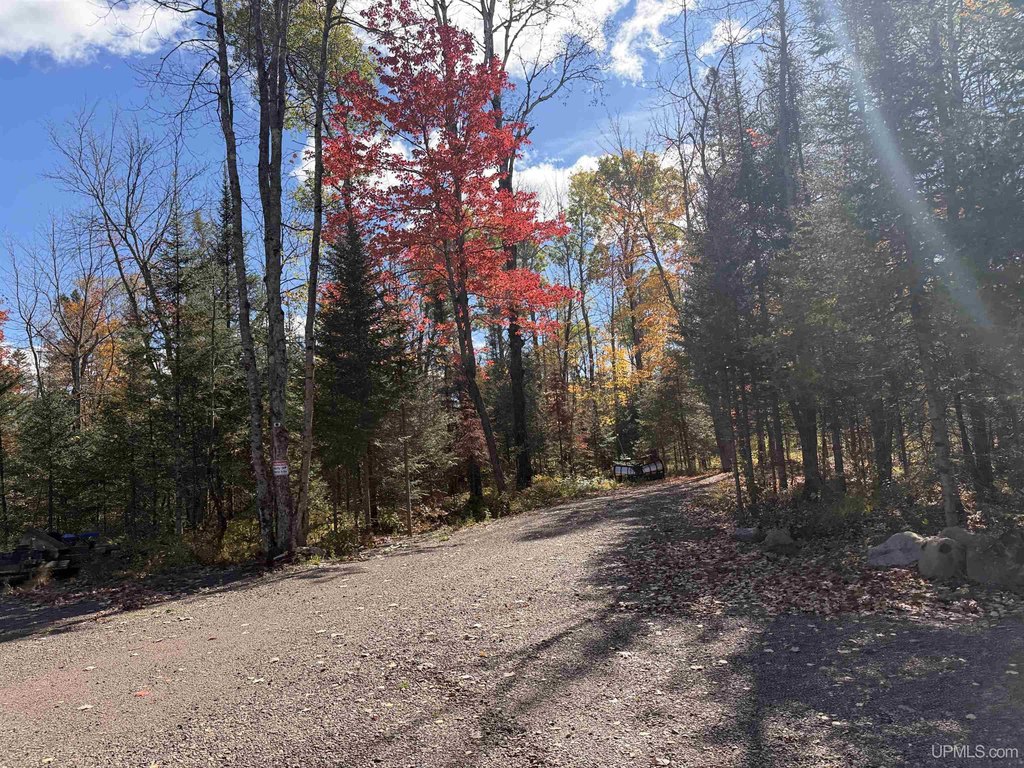 Picture 23