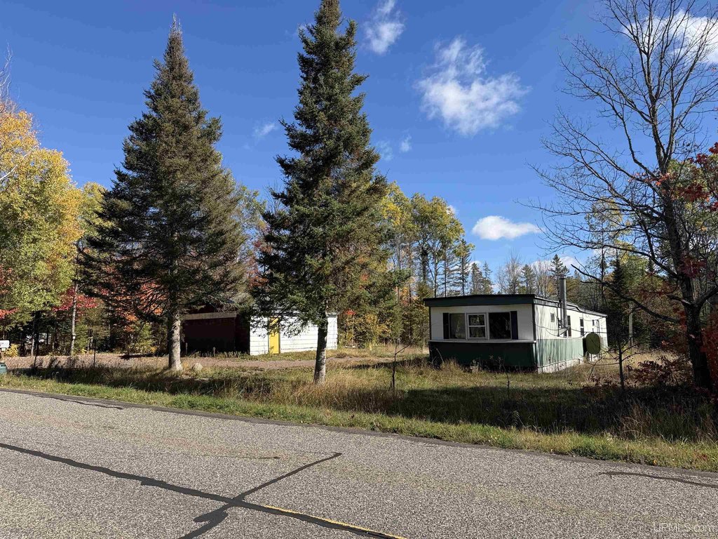Picture 8