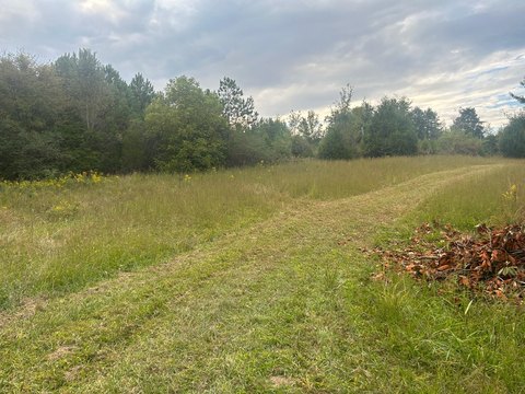 Land For Development Near I-75