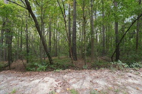 Land, Carthage, NC