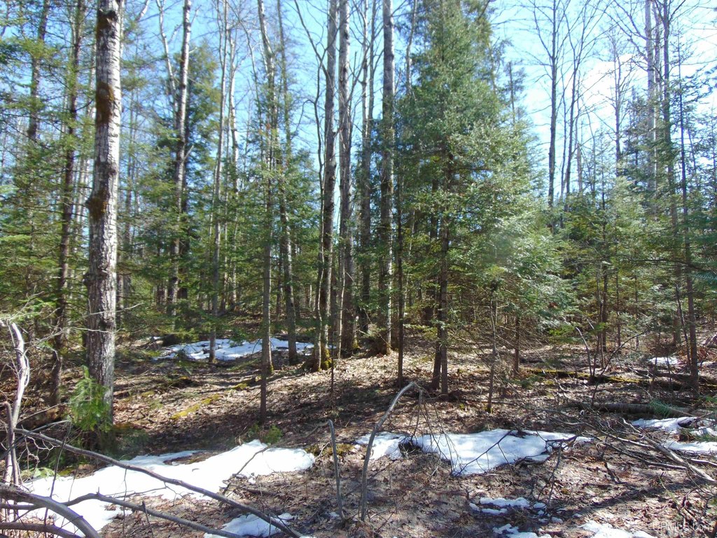 Picture 18