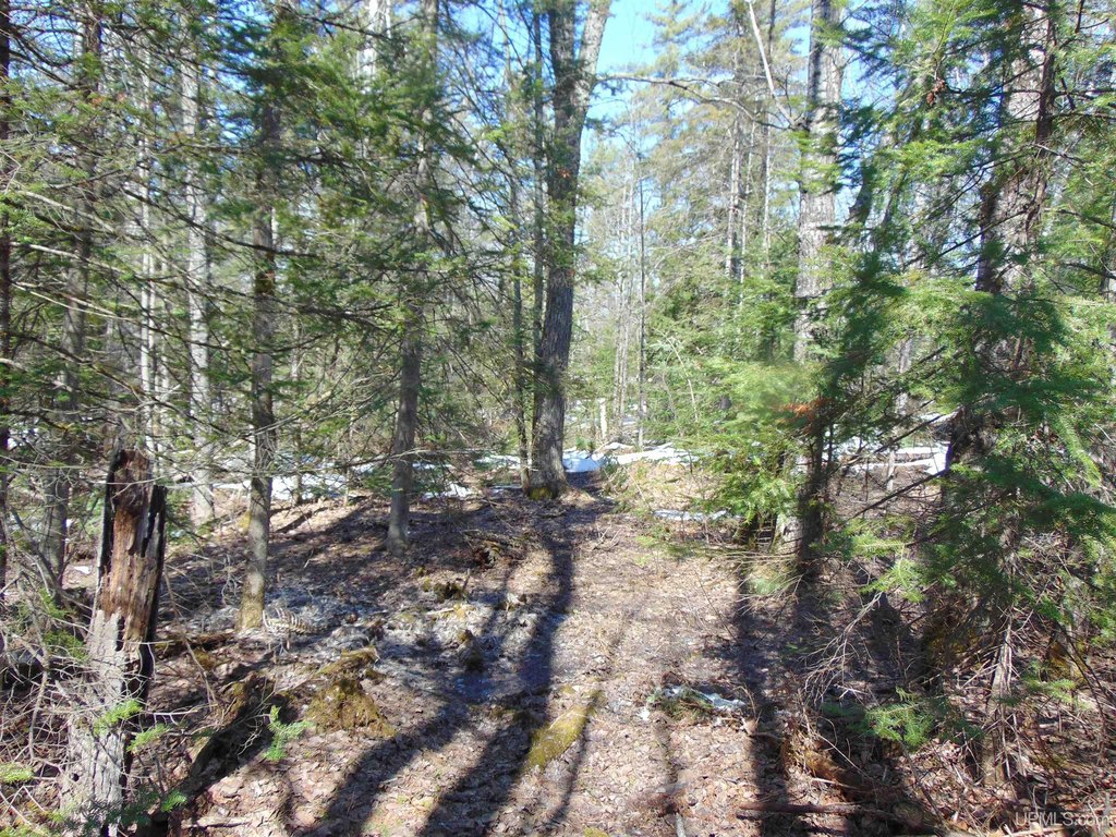 Picture 23