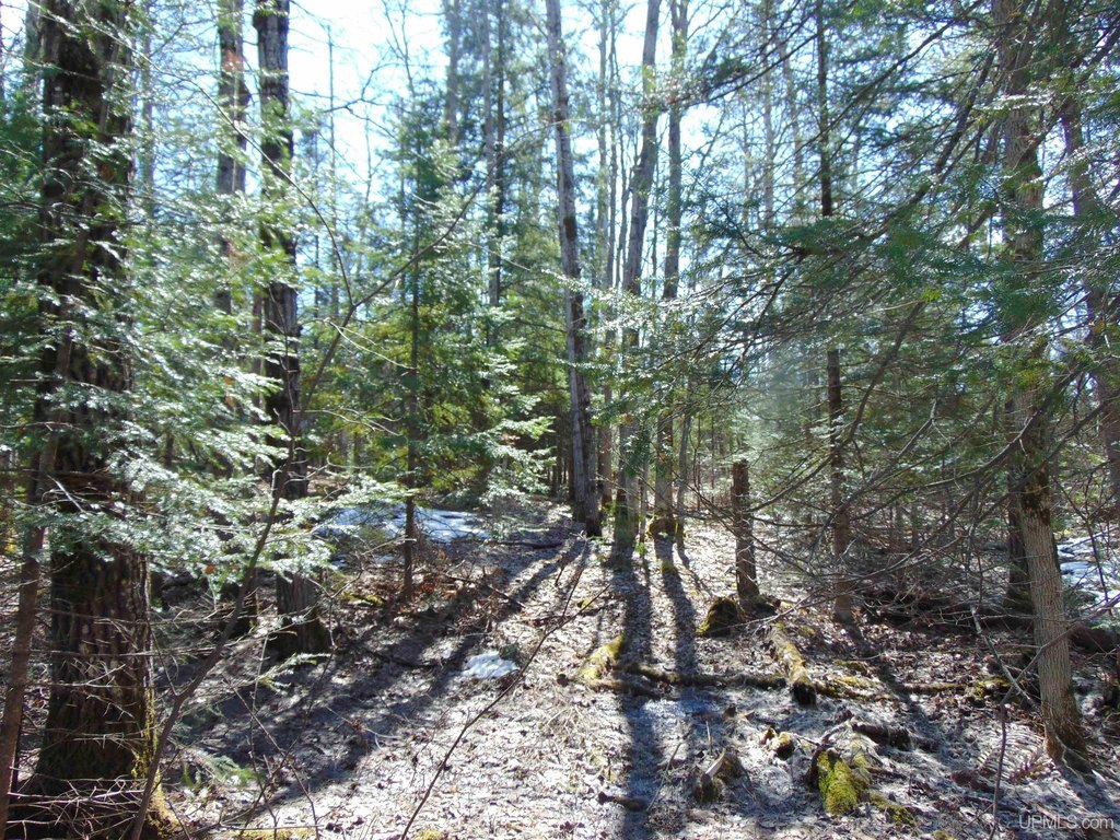 Picture 29