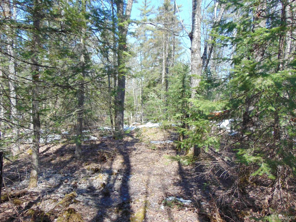 Picture 19