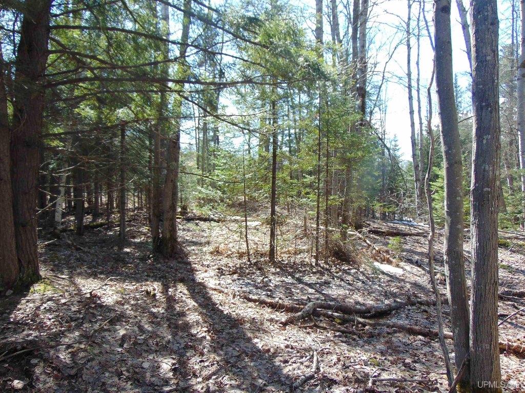Picture 22