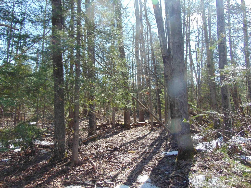 Picture 16