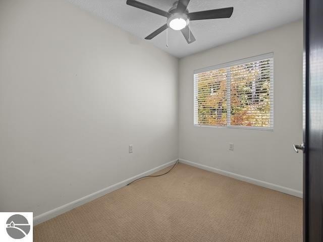 Picture 52