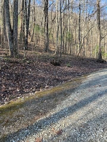 Hiawassee, GA Vacant Wooded Lot