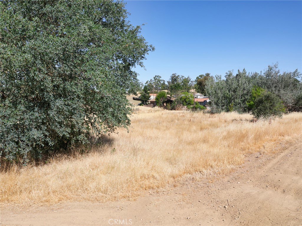 Land in Nice, California