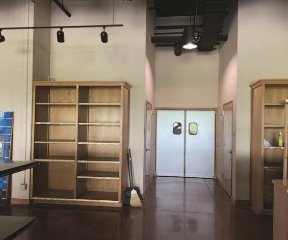Picture 11