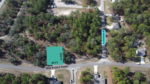 Land, CITRUS SPRINGS, FL