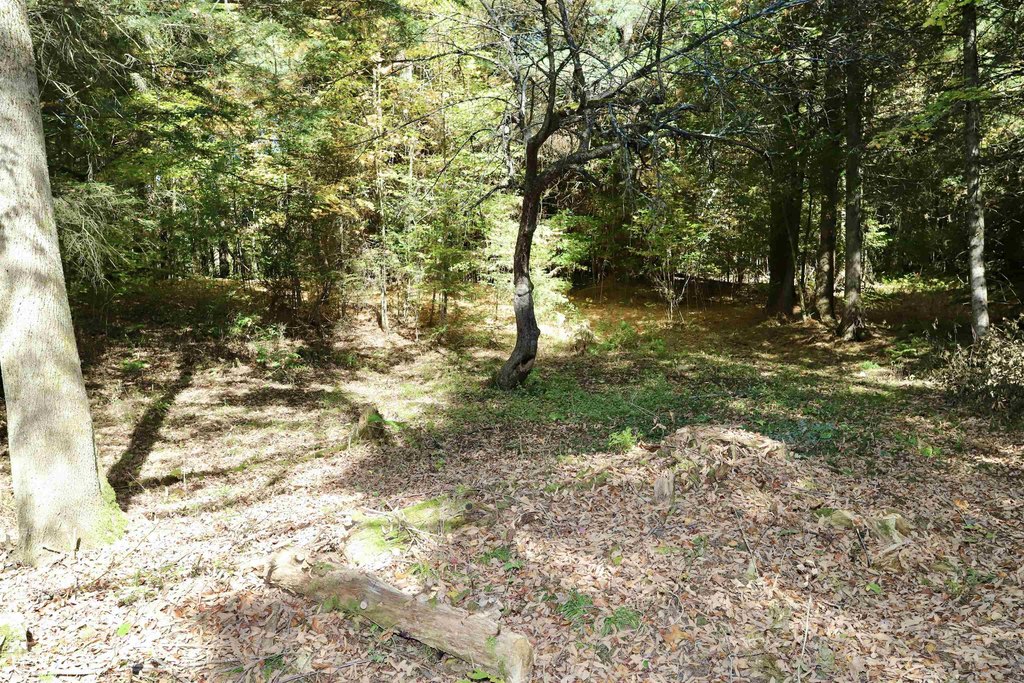 Picture 21