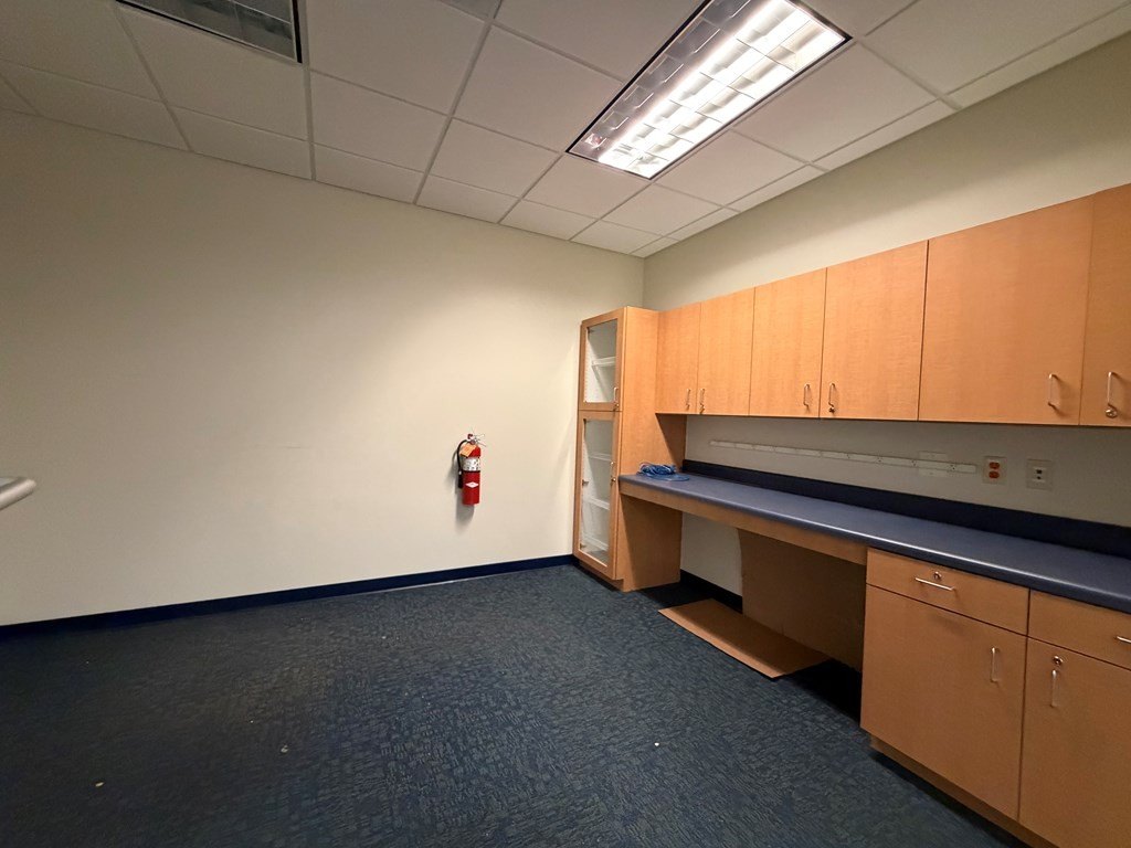 Picture 45