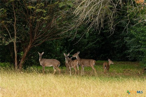 Wooded Land with Pond in Eddy