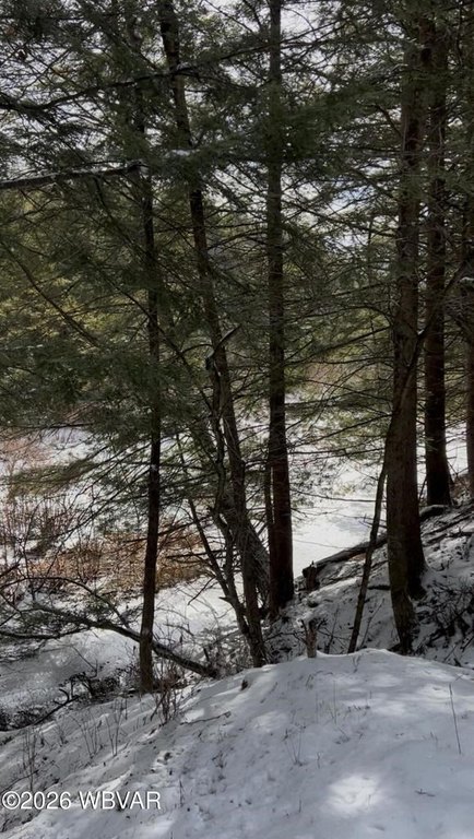 Picture 3