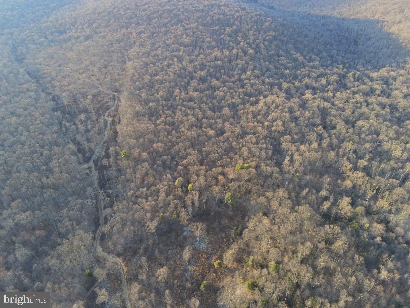 Wooded Land Parcel in Bernville