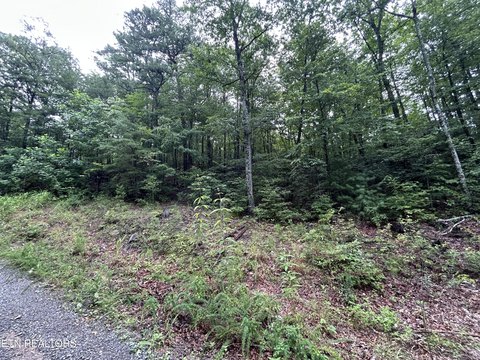 Sevierville, TN Land For Sale