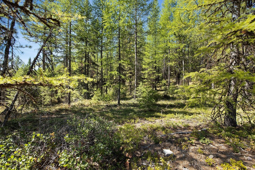 Picture 19