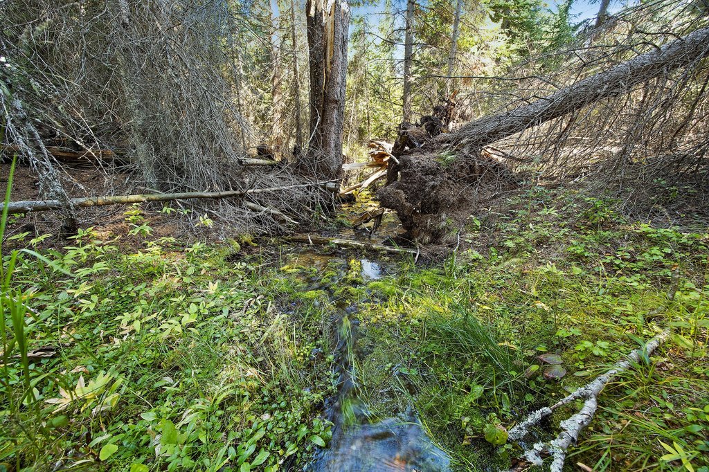Picture 28