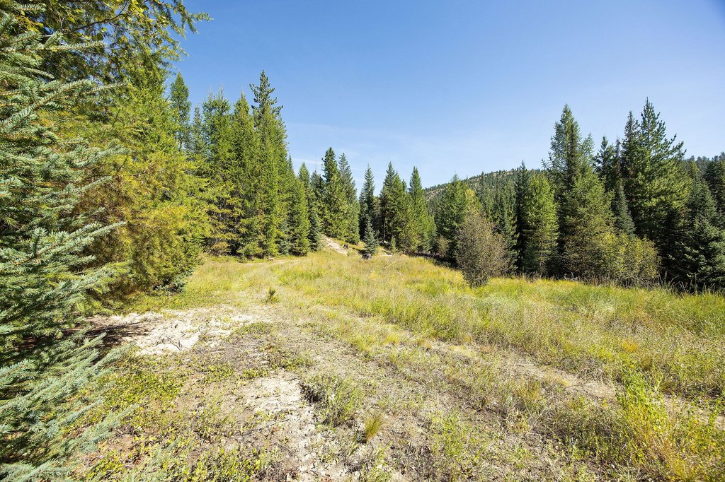 Picture 25