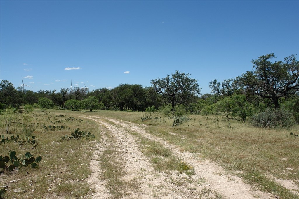 Picture 8