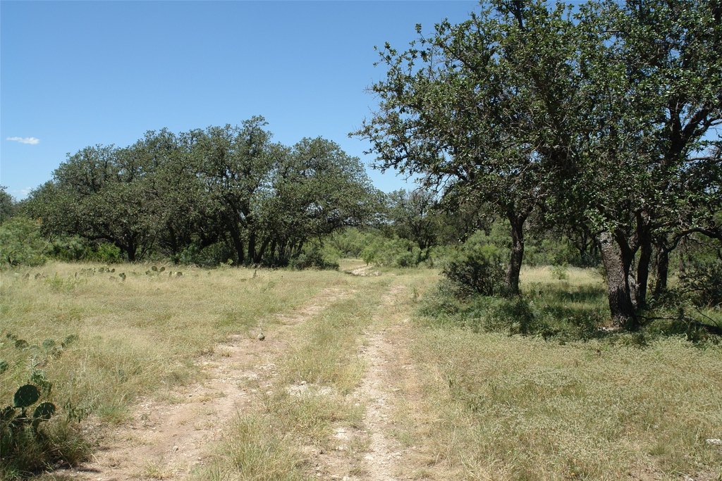 Picture 9