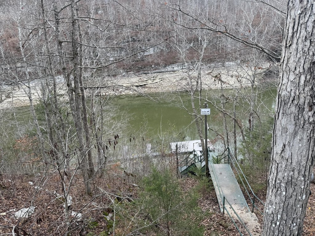 Picture 3