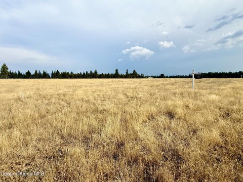Buildable Timberland Ranch Parcel
