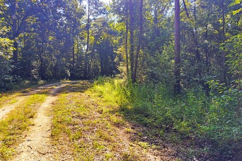 Half-Acre Lot Near Willis Landing