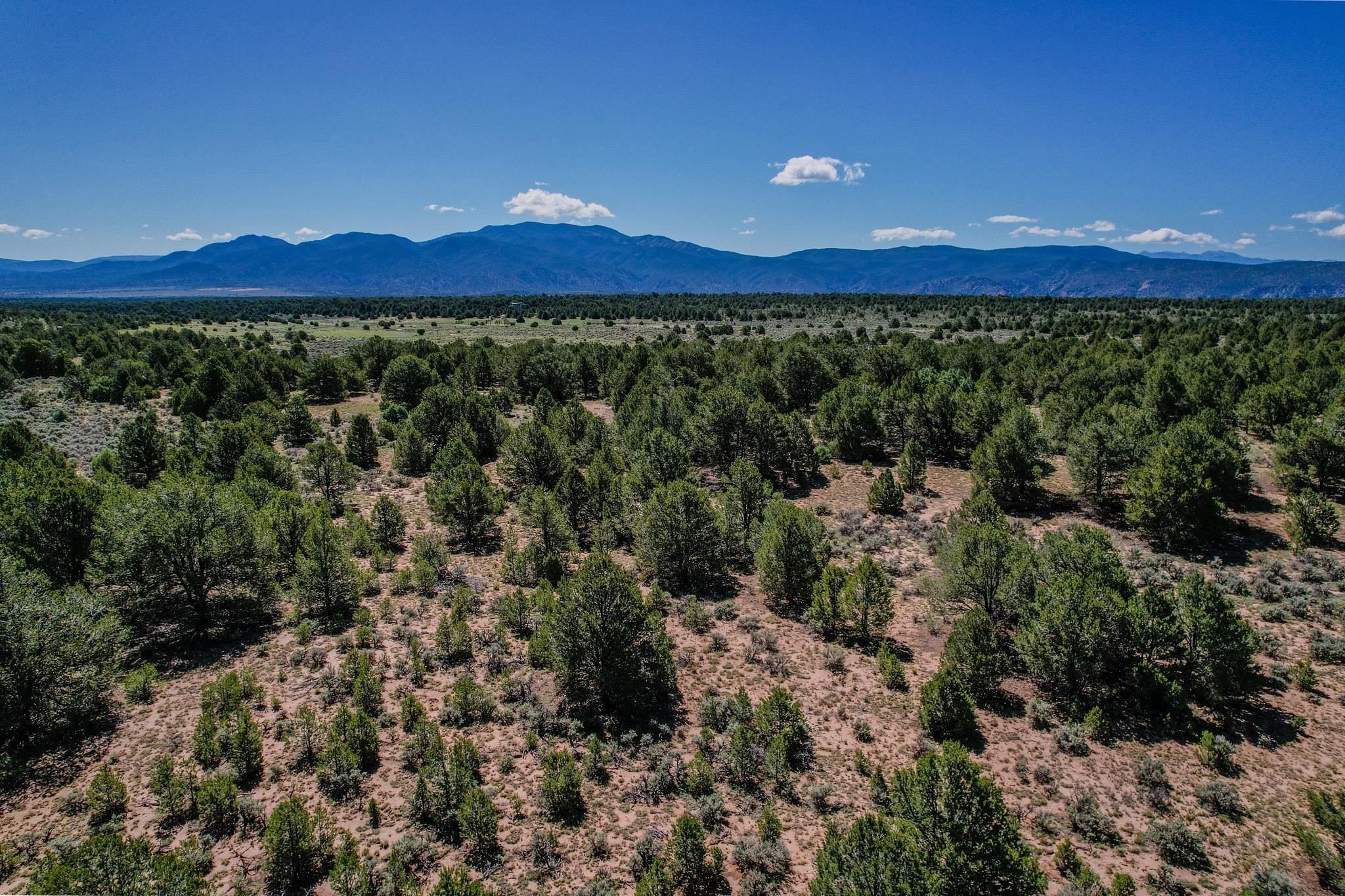 Scenic Carson National Forest Land