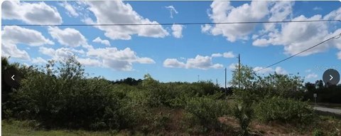 Oversized Residential Lot in Fort Myers