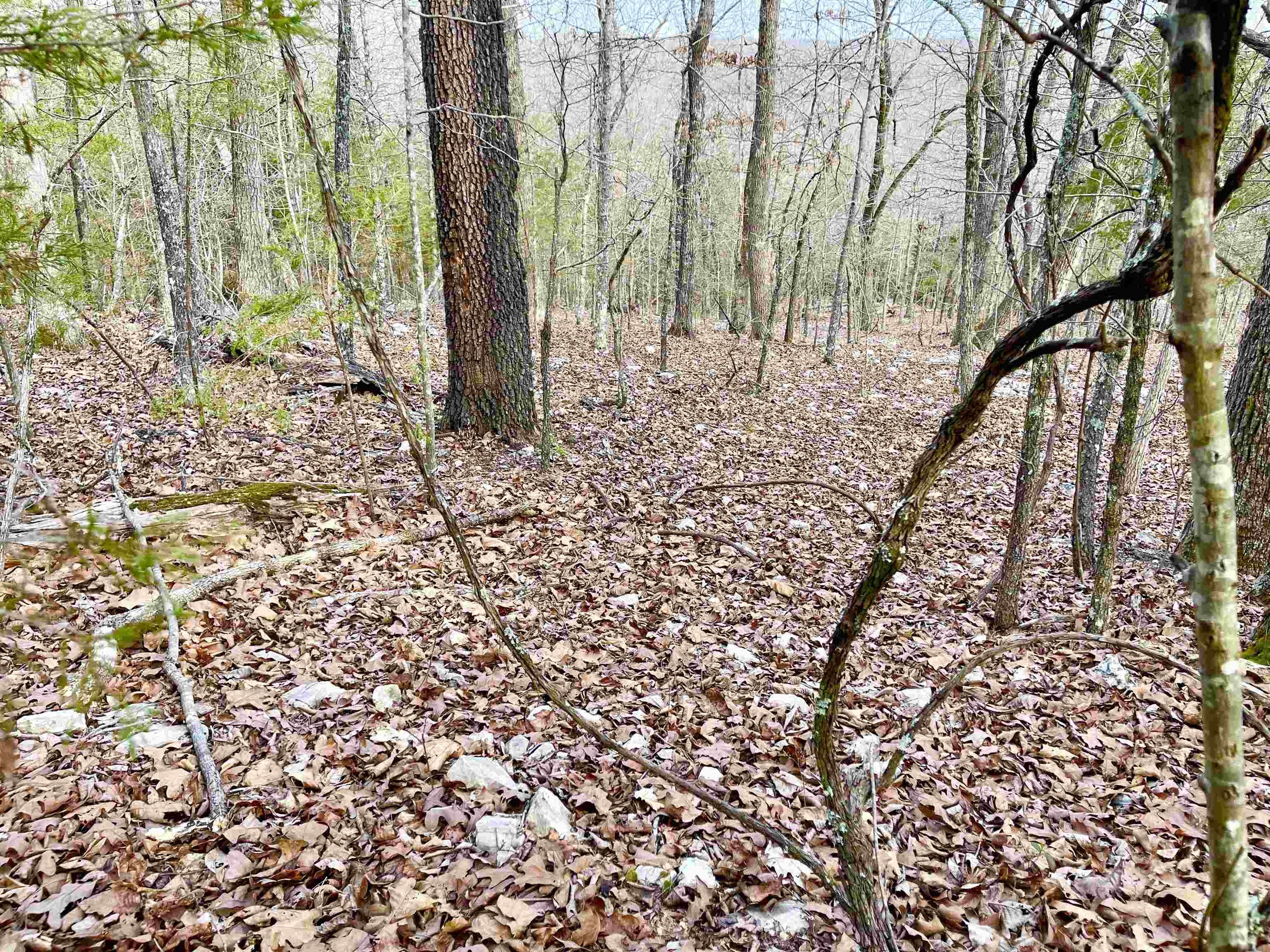 Land in Cherokee Village, AR