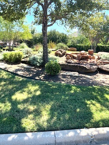 Picture 14