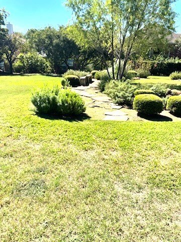 Picture 11