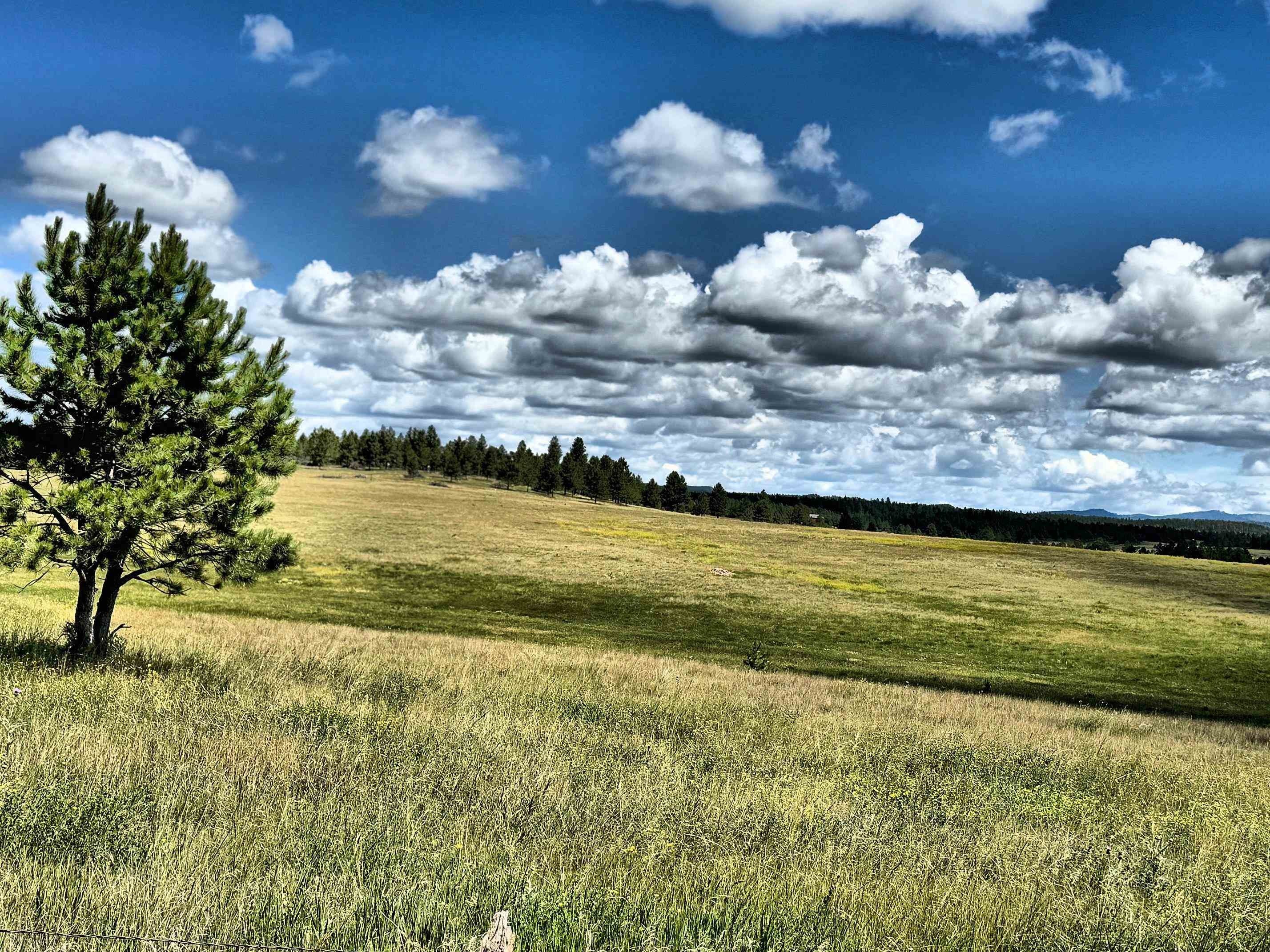 Black Hills Ranch with Pristine Views