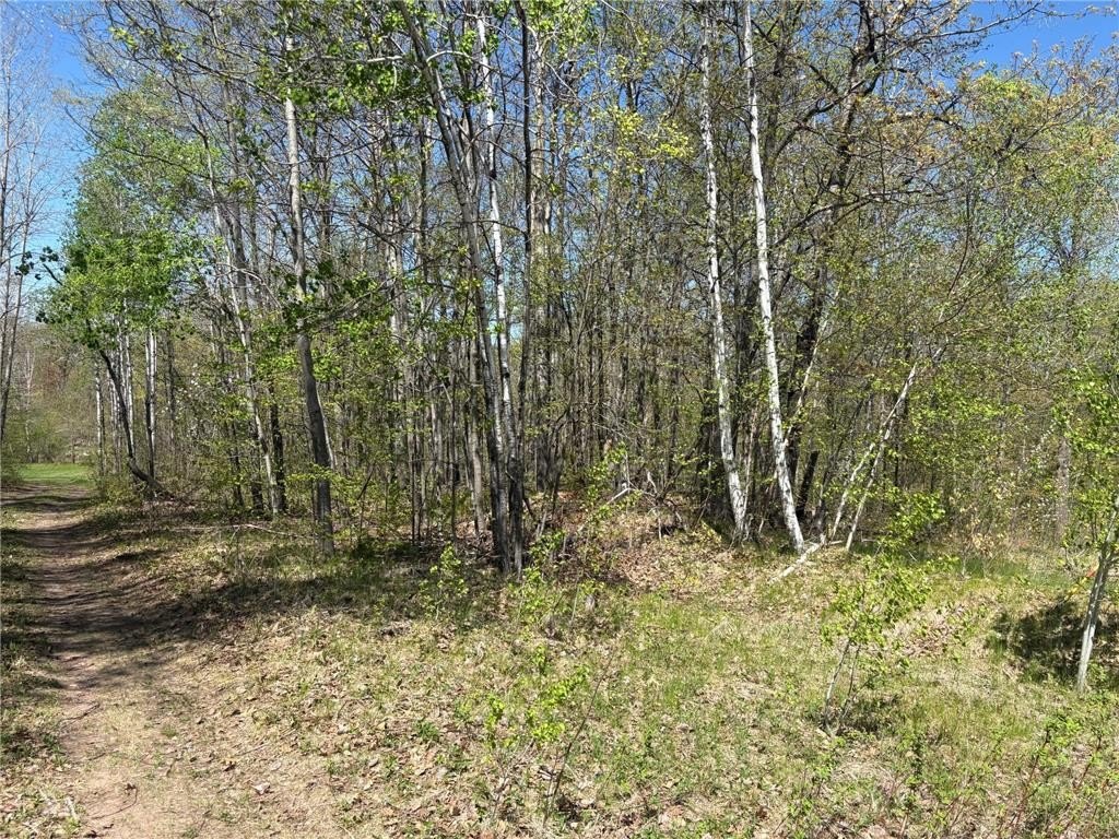 Picture 8