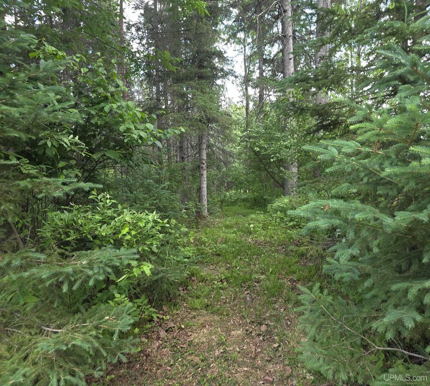 Picture 15