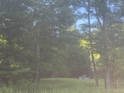 LAND - Sagola, MI