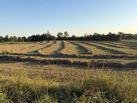 Land, Dardanelle, AR